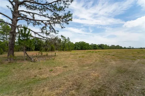 Van Fleet Road Polk City FL 33868
