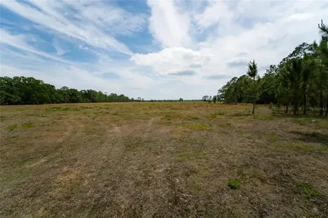 Van Fleet Road Polk City FL 33868