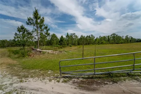Van Fleet Road Polk City FL 33868