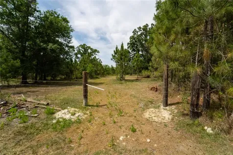 Van Fleet Road Polk City FL 33868