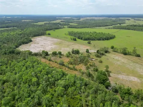 Van Fleet Road Polk City FL 33868