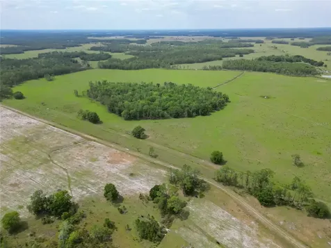 Van Fleet Road Polk City FL 33868