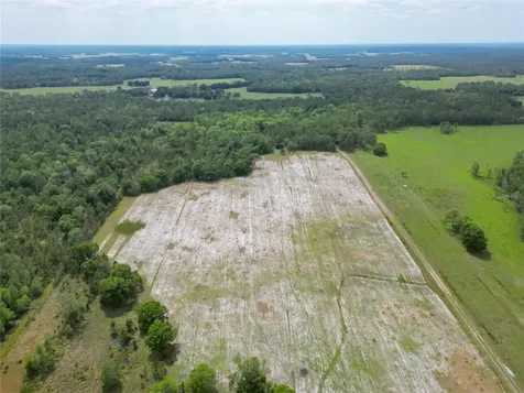 Van Fleet Road Polk City FL 33868
