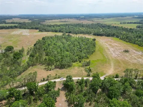 Van Fleet Road Polk City FL 33868