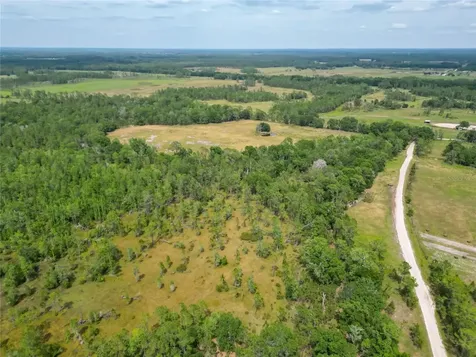 Van Fleet Road Polk City FL 33868