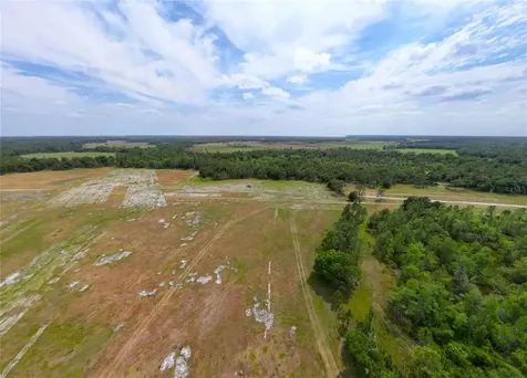 Van Fleet Road Polk City FL 33868