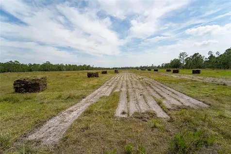 Van Fleet Road Polk City FL 33868