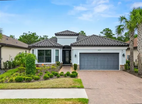 20159 Umbria Hill Drive Tampa FL 33647