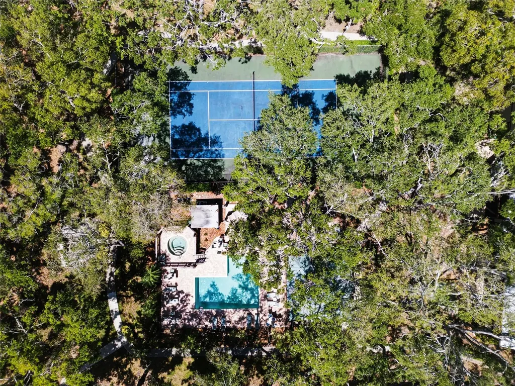 1486 Mahogany Lane Palm Harbor FL 34683