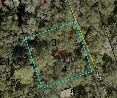 132 Sanchez Avenue Palm Coast FL 32137