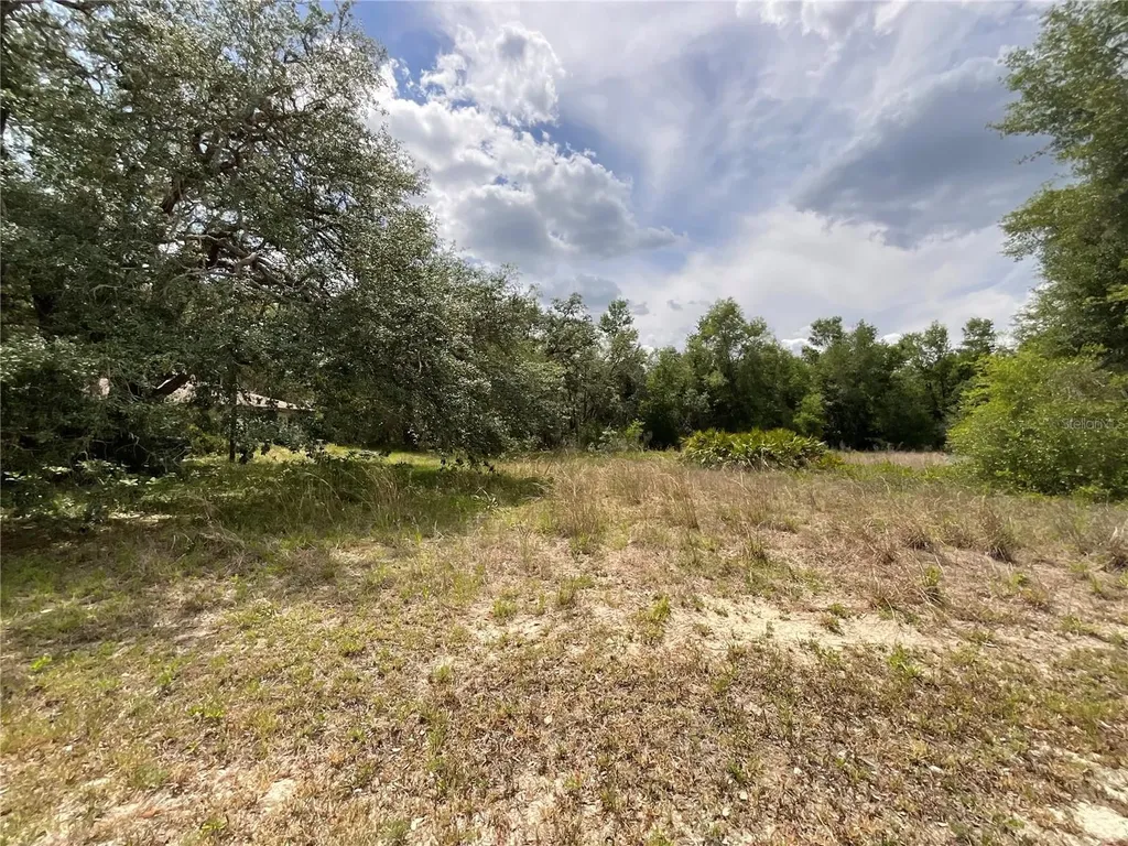 34331 Rim Rock Street Webster FL 33597