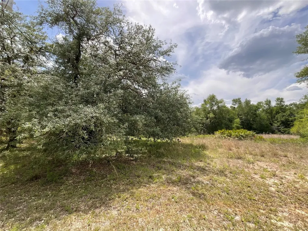 34331 Rim Rock Street Webster FL 33597