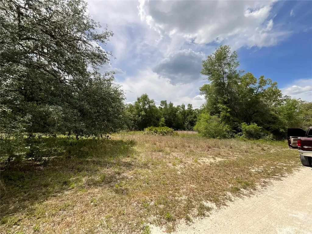 34331 Rim Rock Street Webster FL 33597