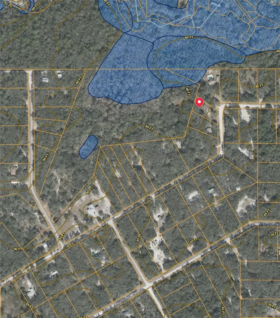 34331 Rim Rock Street Webster FL 33597