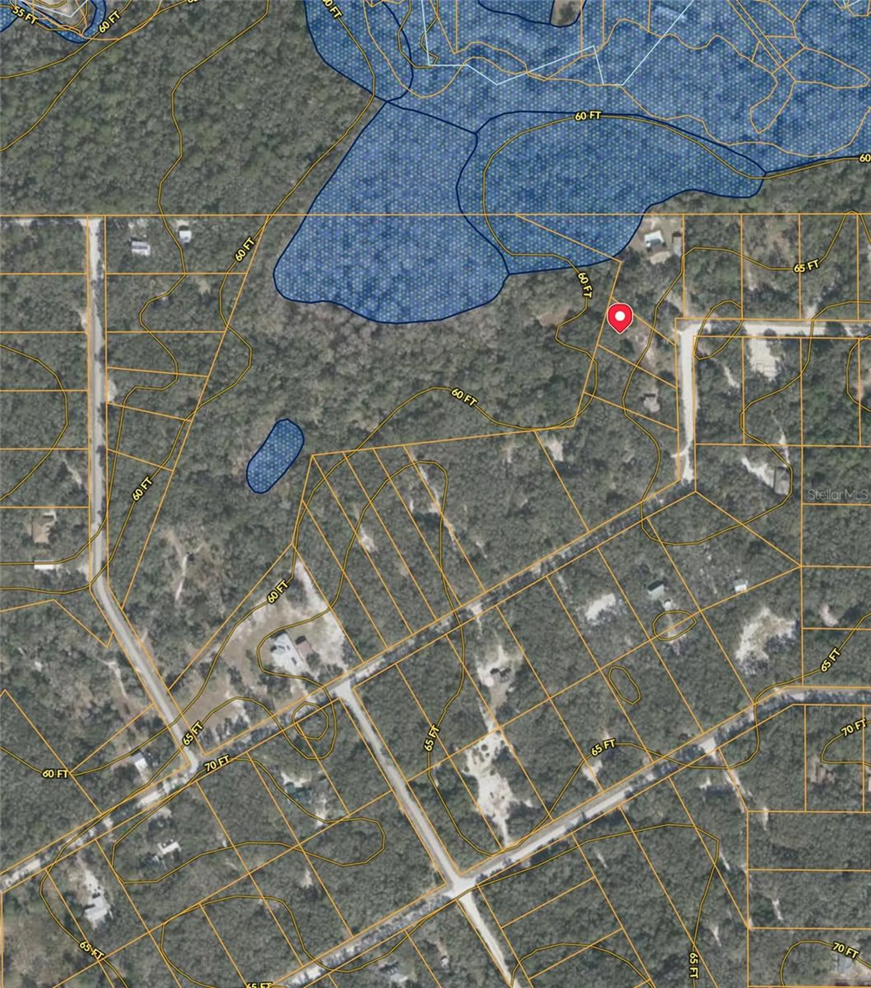 34331 Rim Rock Street Webster FL 33597