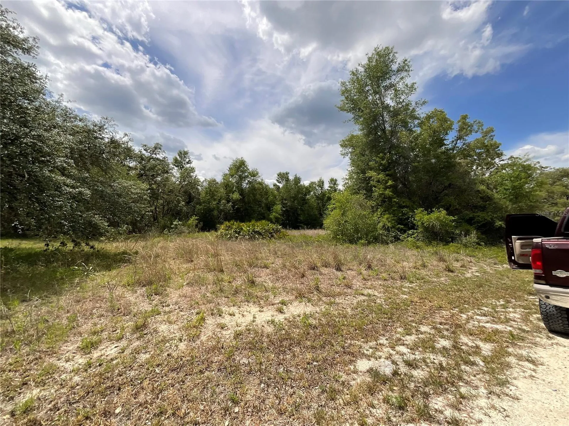 34331 Rim Rock Street Webster FL 33597