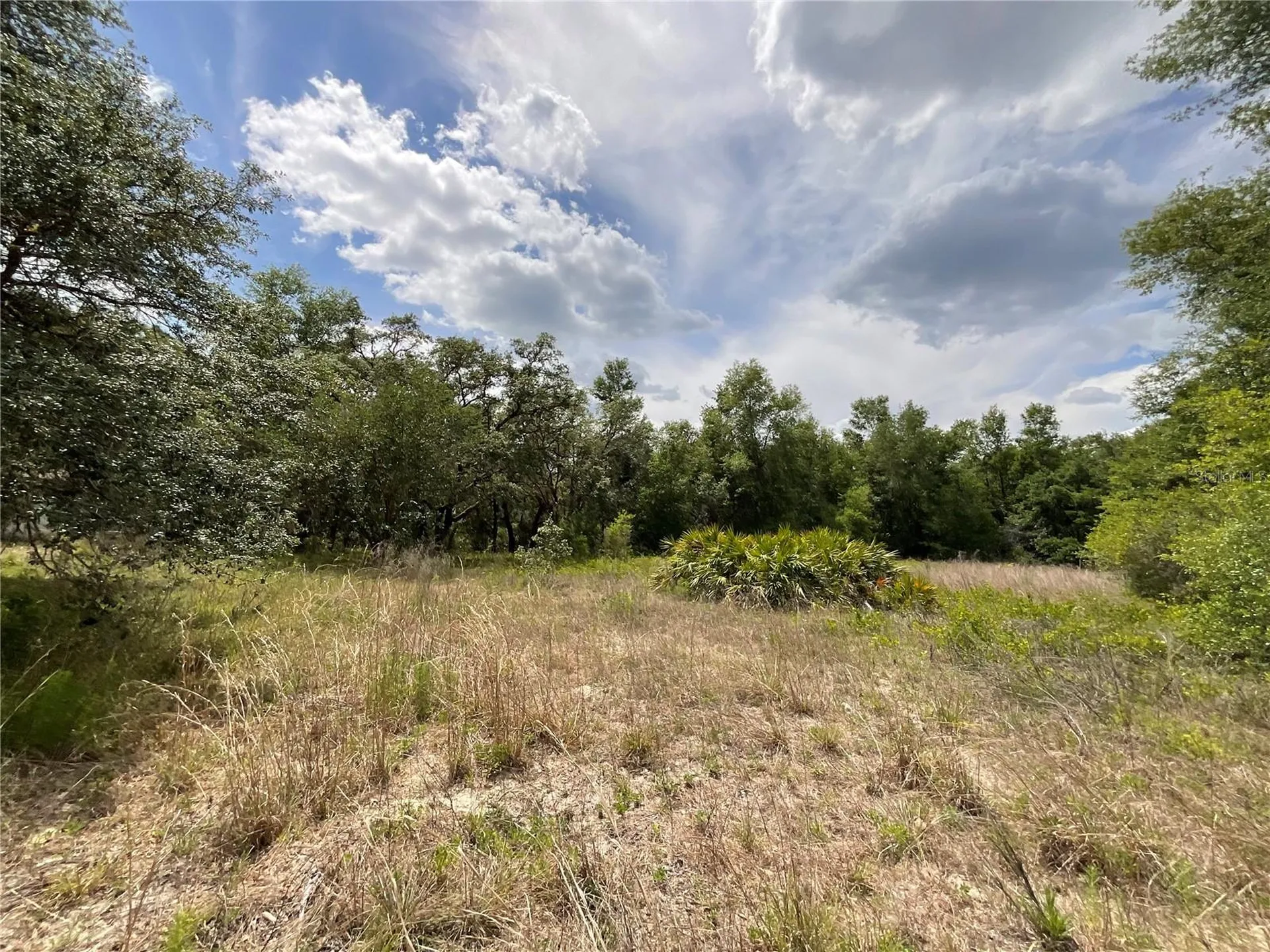 34331 Rim Rock Street Webster FL 33597