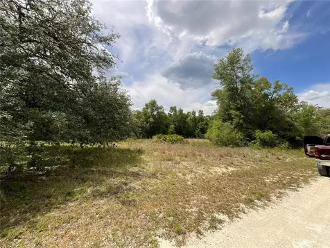34331 Rim Rock Street Webster FL 33597