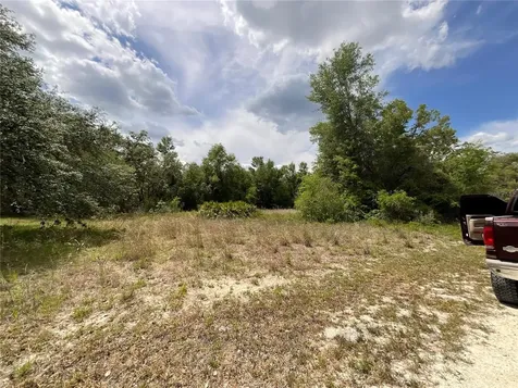 34331 Rim Rock Street Webster FL 33597