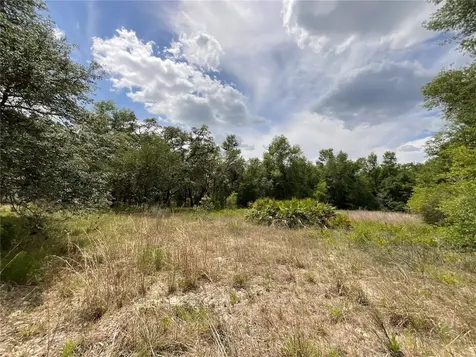 34331 Rim Rock Street Webster FL 33597