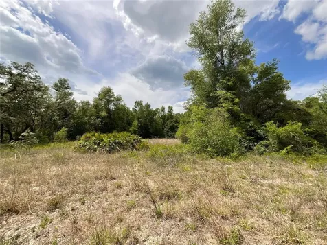 34331 Rim Rock Street Webster FL 33597