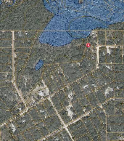 34331 Rim Rock Street Webster FL 33597