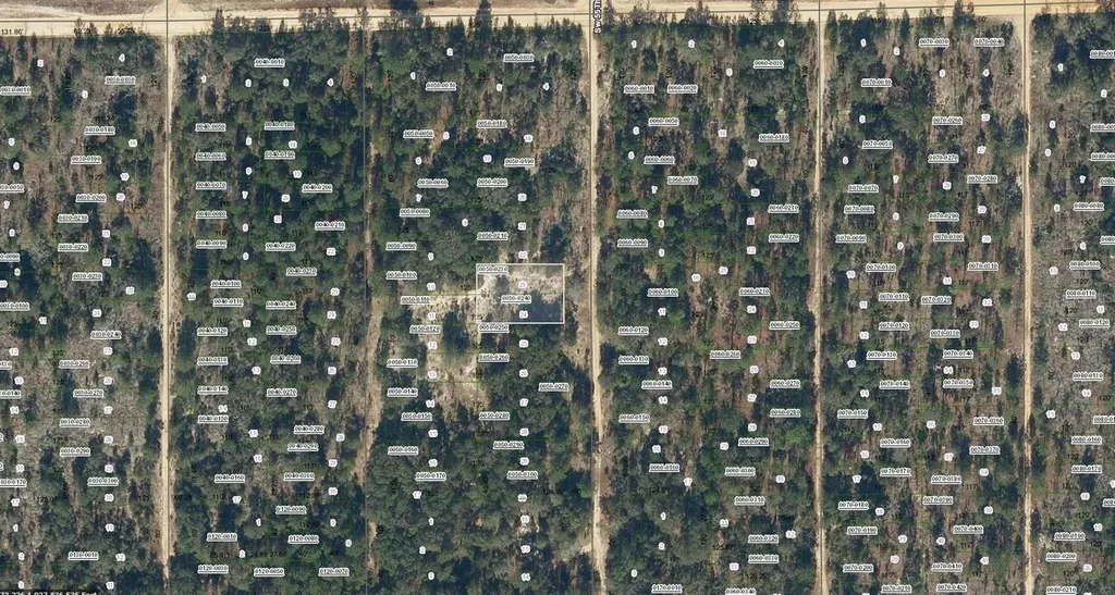 00 SW 55th Avenue Interlachen FL 32148