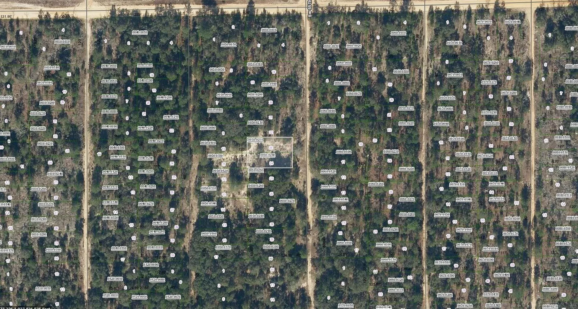 00 SW 55th Avenue Interlachen FL 32148