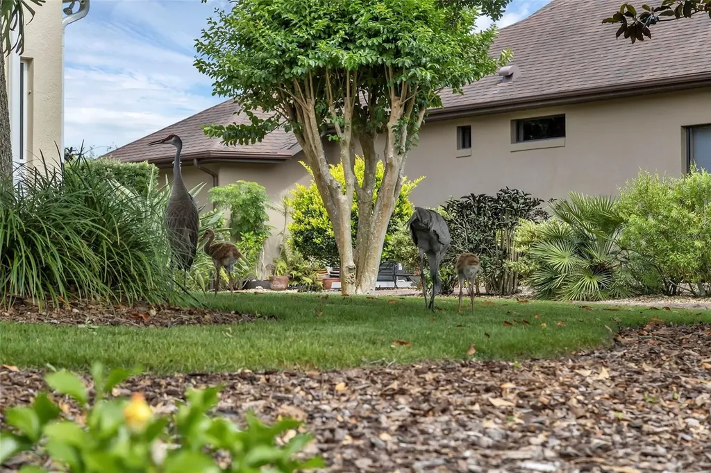 8167 Bridgeport Bay Circle Mount Dora FL 32757