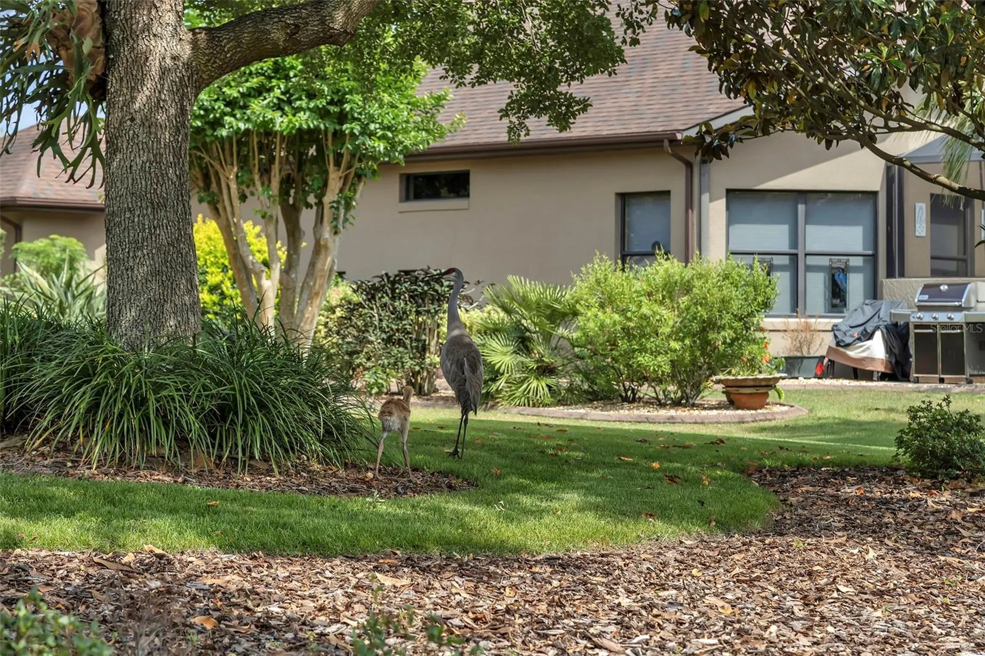 8167 Bridgeport Bay Circle Mount Dora FL 32757