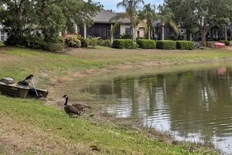 8167 Bridgeport Bay Circle Mount Dora FL 32757