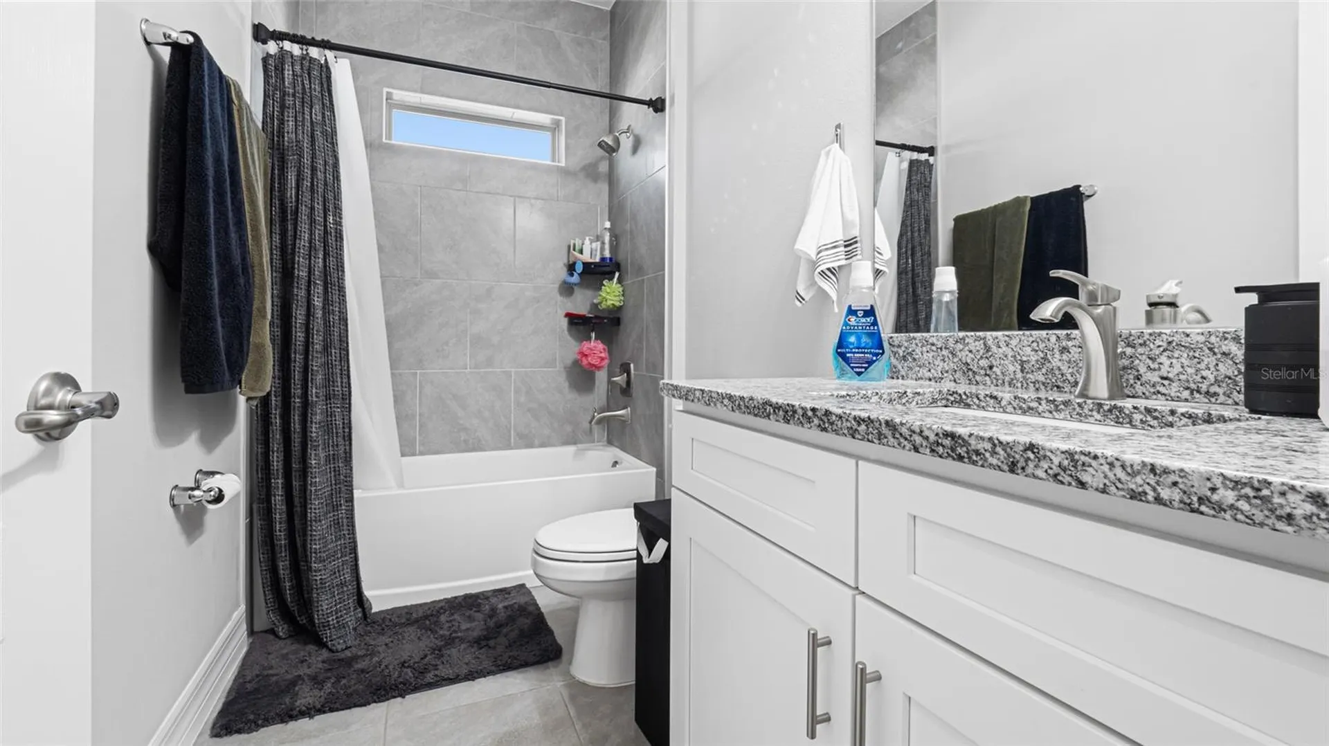 8007 SW 135th Loop Ocala FL 34473