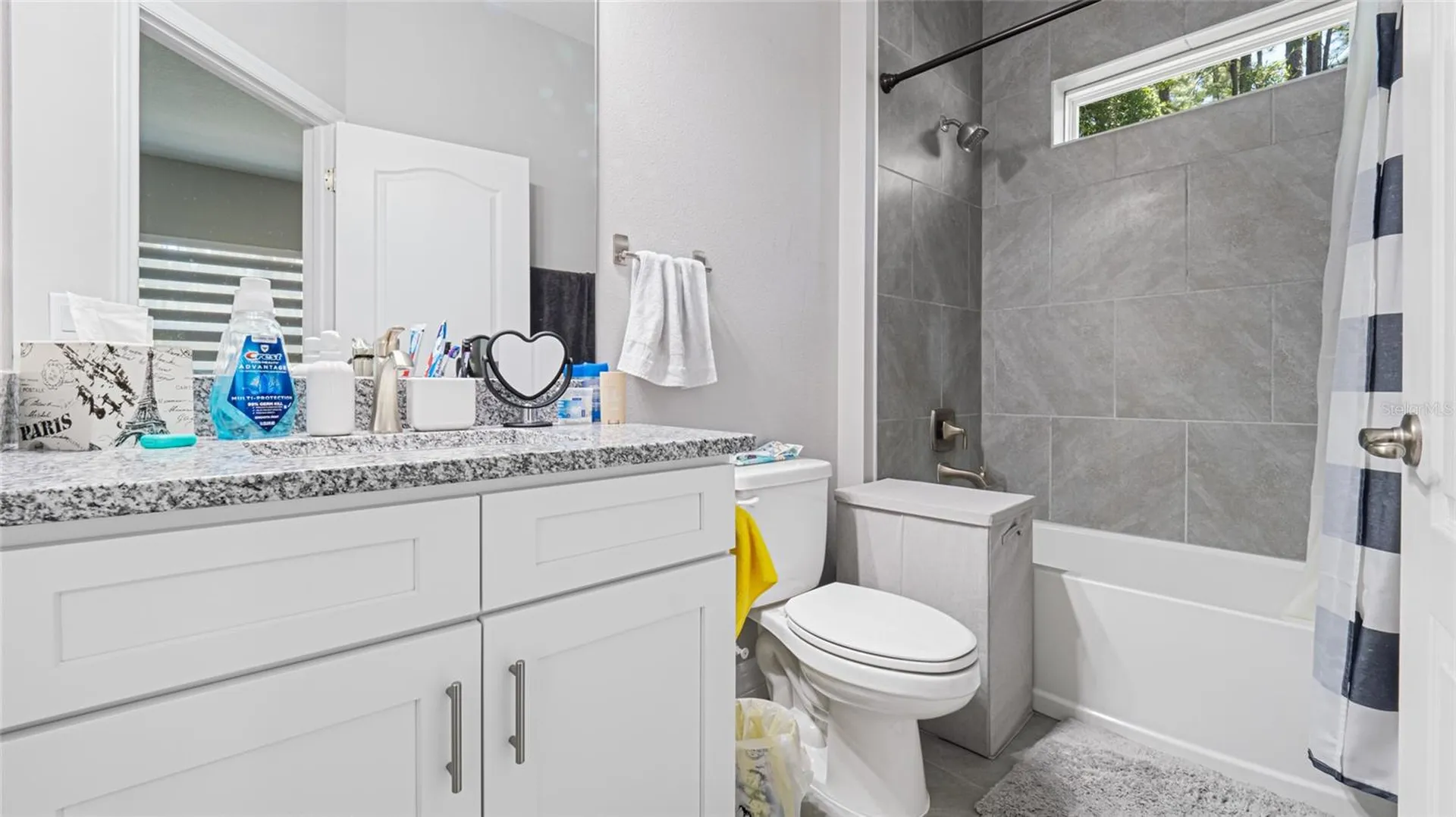 8007 SW 135th Loop Ocala FL 34473