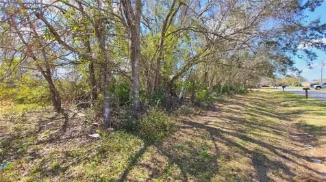 716 Martin Lane Kissimmee FL 34759