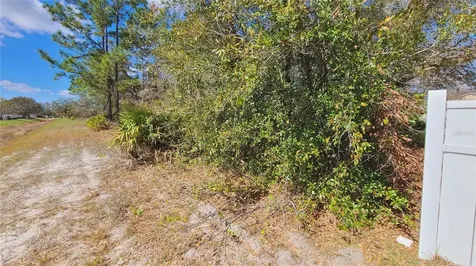 716 Martin Lane Kissimmee FL 34759