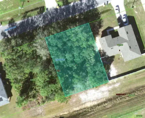 716 Martin Lane Kissimmee FL 34759