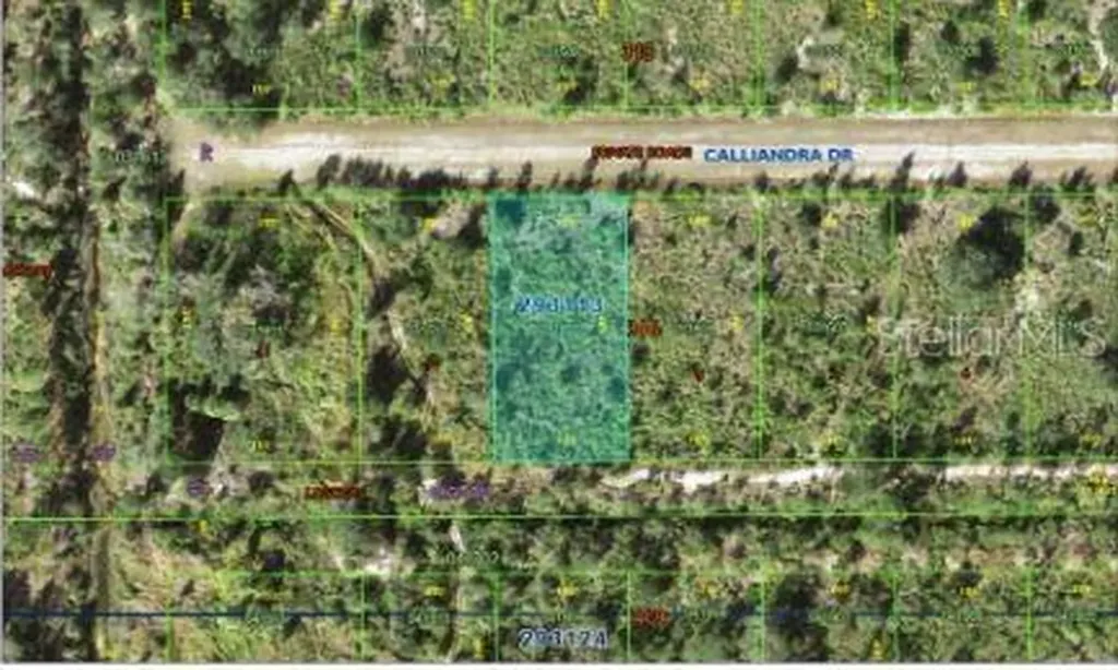 Calliandra Drive Indian Lake Estates FL 33855