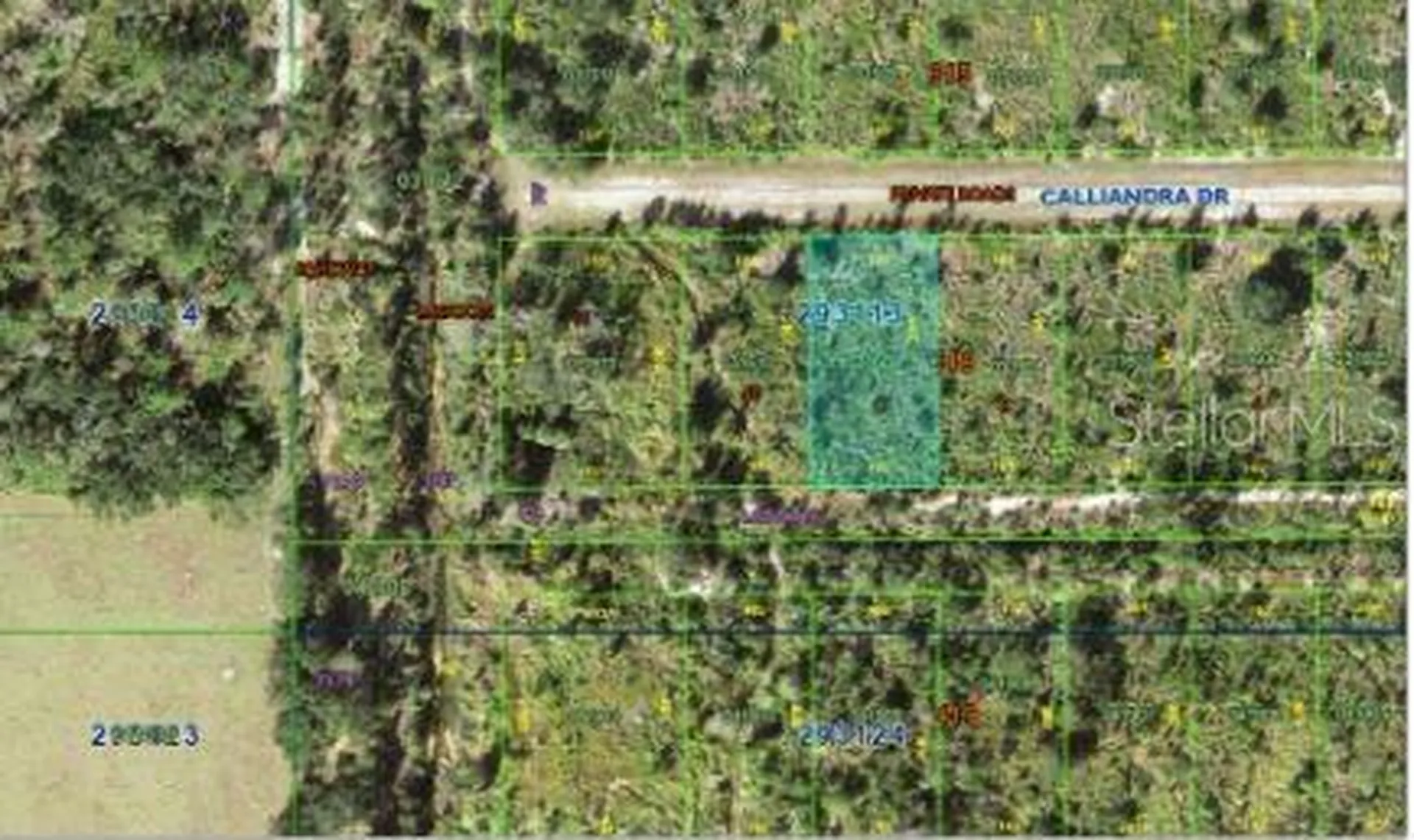 Calliandra Drive Indian Lake Estates FL 33855