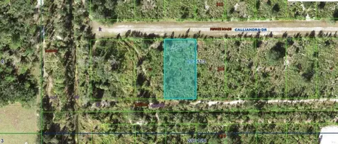 Calliandra Drive Indian Lake Estates FL 33855