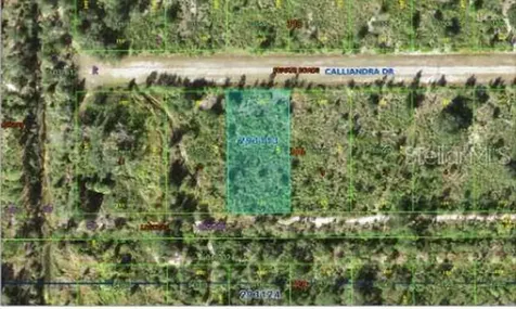 Calliandra Drive Indian Lake Estates FL 33855