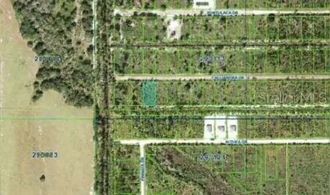 Calliandra Drive Indian Lake Estates FL 33855