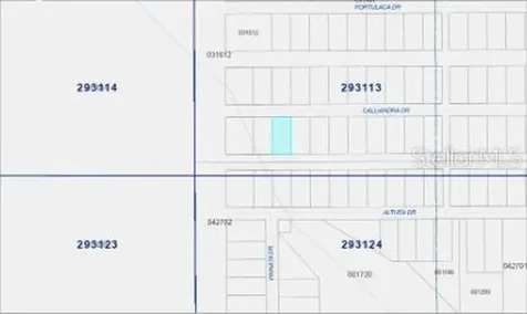 Calliandra Drive Indian Lake Estates FL 33855