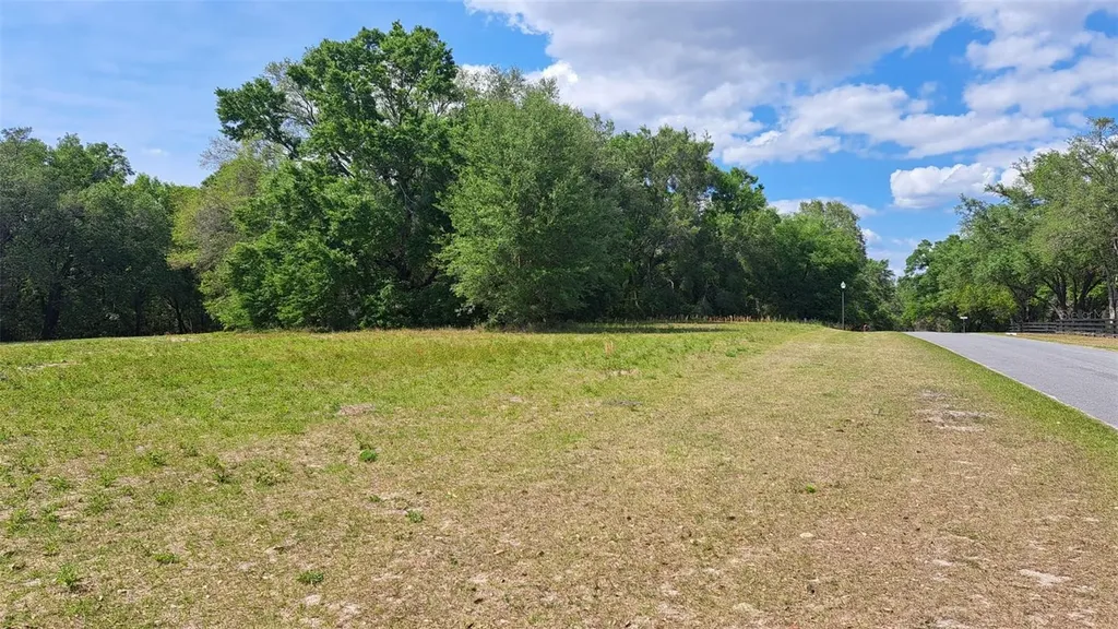 00 SE 101st Court Road Belleview FL 34420
