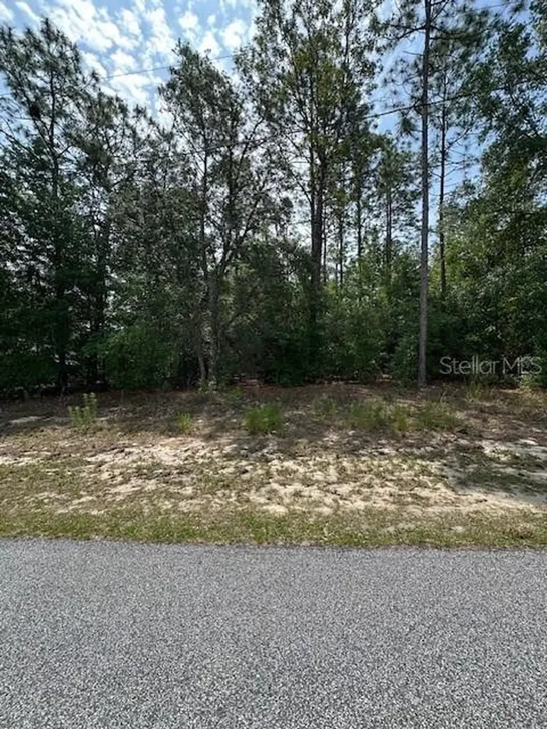 920 W Rum Place Dunnellon FL 34434