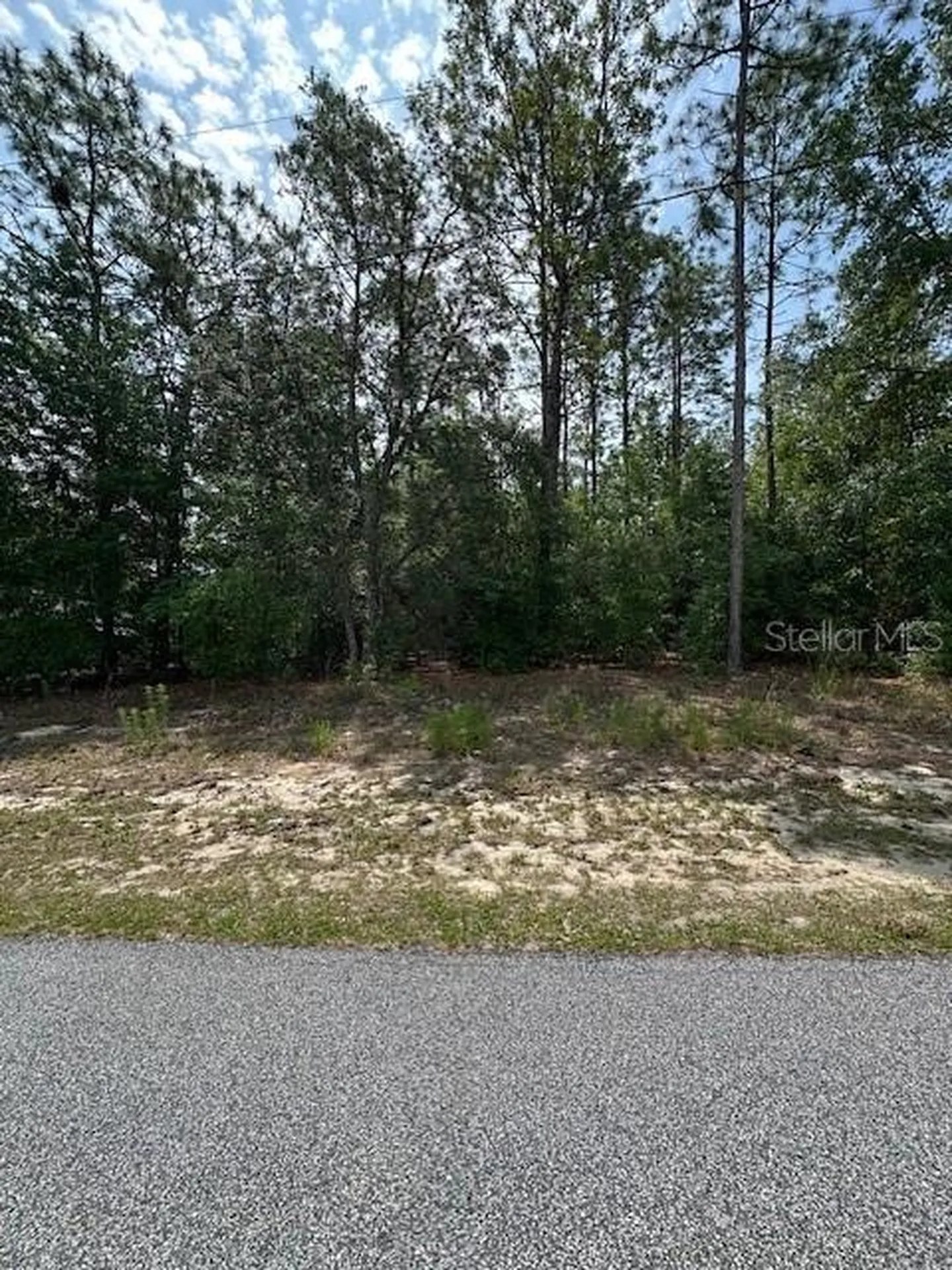 920 W Rum Place Dunnellon FL 34434