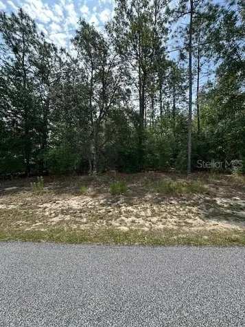 920 W Rum Place Dunnellon FL 34434