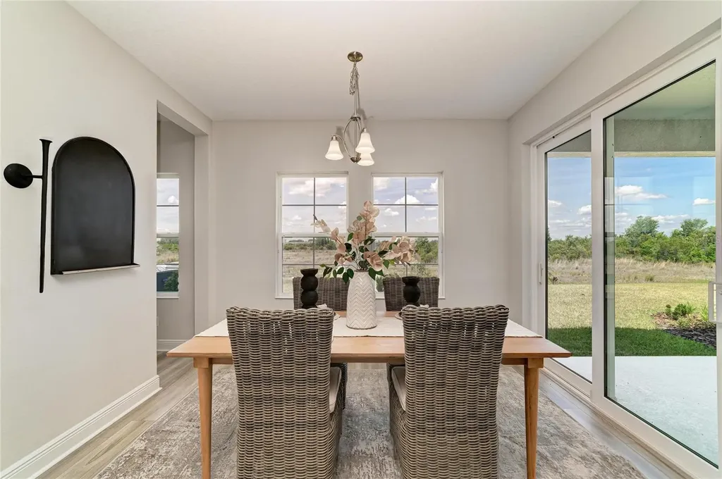 9699 Surrey Rose Drive San Antonio FL 33576