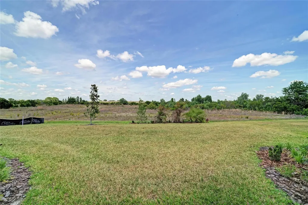9699 Surrey Rose Drive San Antonio FL 33576