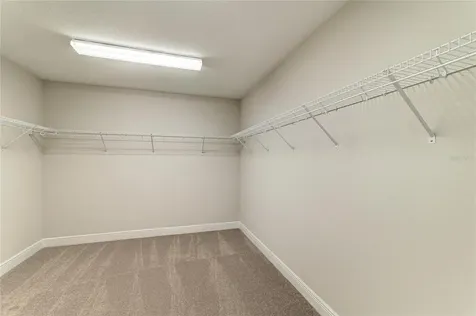 9699 Surrey Rose Drive San Antonio FL 33576