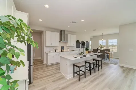 9699 Surrey Rose Drive San Antonio FL 33576